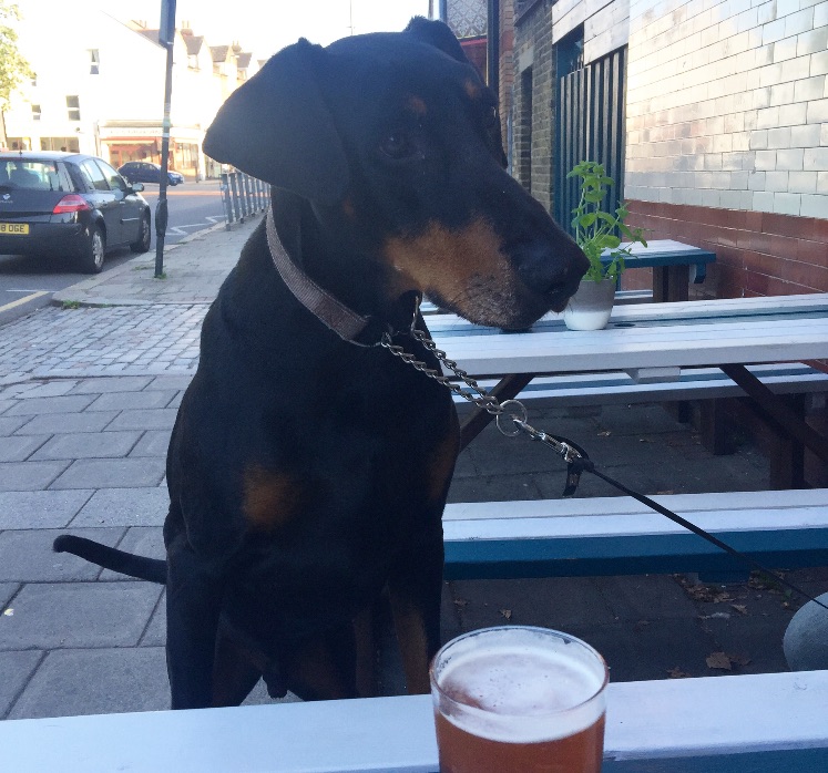 Dog Friendly Pub 
